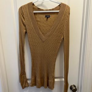 Express Vneck sweater